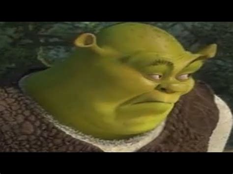 Shrek Image Meme | Webphotos.org