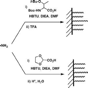 General concept of chemoselective reaction between a protein and an... | Download Scientific Diagram