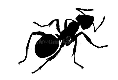 Ant Silhouette Clip Art