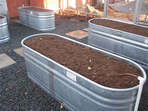 vegetable garden irrigation design | Here is a watering trough turned into a raised bed for ...