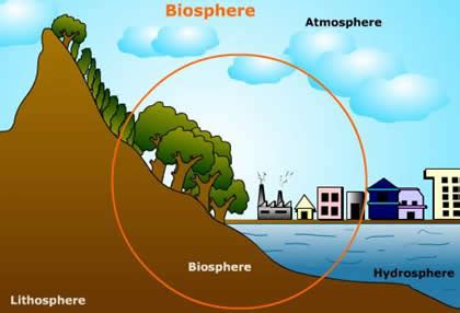 Plant Life: Biosphere Concept