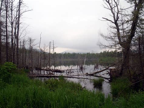 The Pursuit of Life: Hiking Mt Chase, Maine: International Appalachian Trail