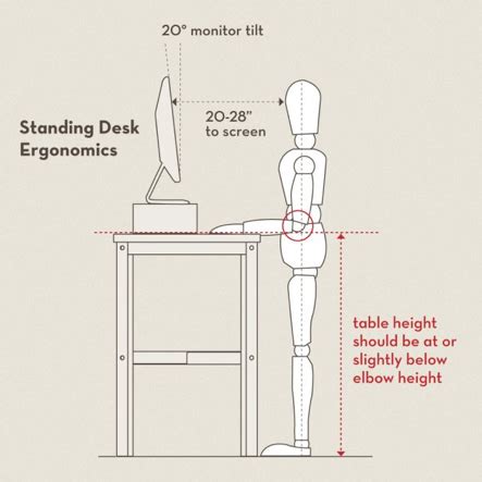 posture - Proper ergonomics for a standing desk? - Physical Fitness Stack Exchange