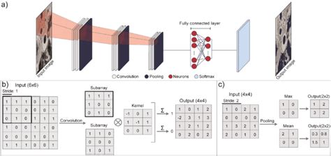 a) schematic CNN architecture; b) convolution example; c) pooling ...