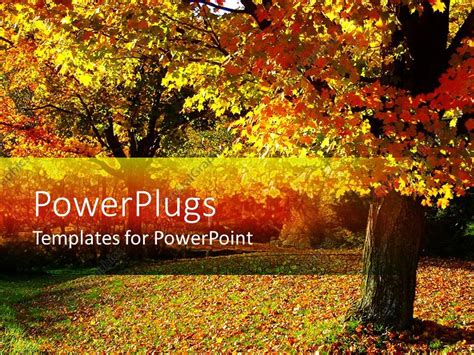 PowerPoint Template: Fall autumn landscape with trees and leaves on the ...