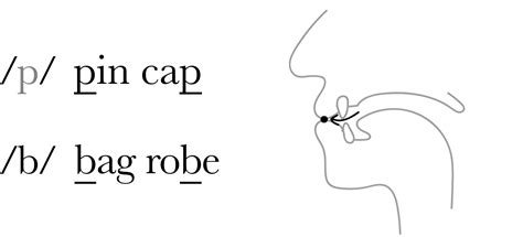 Plosives (30-35) - Pronunciation Studio