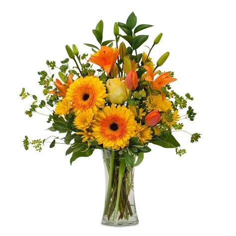 12 Best Florists for Flower Delivery in Miami - Petal Republic