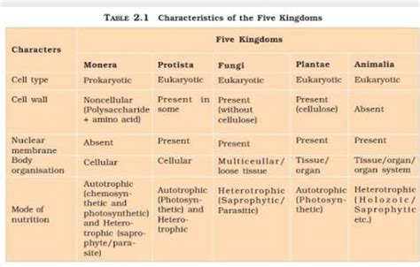 5 Kingdoms Of Life Characteristics - slideshare