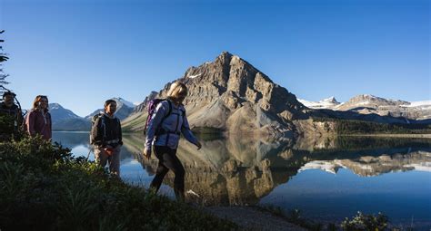 Bow Glacier Falls Trail | Banff & Lake Louise Tourism