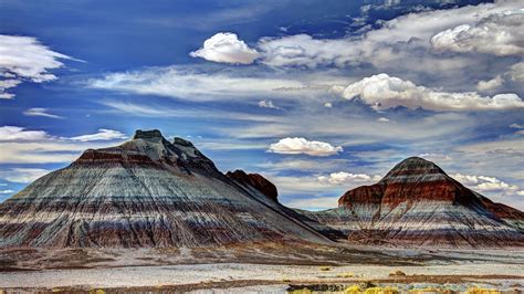 Petrified Forest National Park