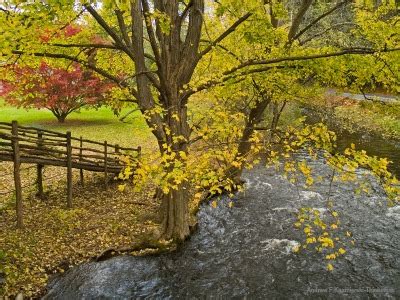 The Ultimate Guide to Pocono Mountains Fall Foliage