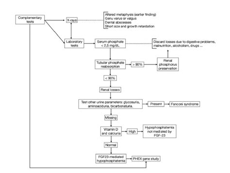 Complementary tests approach for X-linked hypophosphatemia. | Download Scientific Diagram