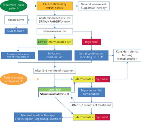 Treatment algorithm. PAH: pulmonary arterial hypertension; IPAH ...