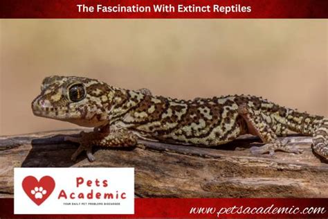 10 Extinct Reptiles That Were Stranger Than Fiction – Pets Academic