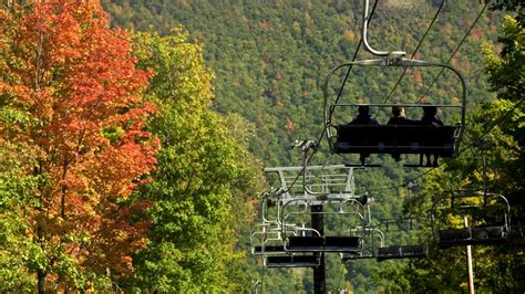 7 awesome activities to add to your fall bucket list in Rochester NY