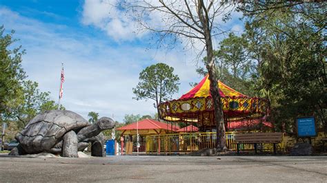 Best Places to Take Photographs near Orlando – Central Florida Zoo ...