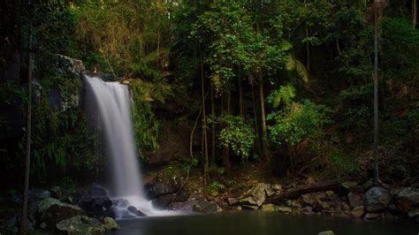 GOLD COAST HINTERLAND — TRAVELLING WITH MY NIKON