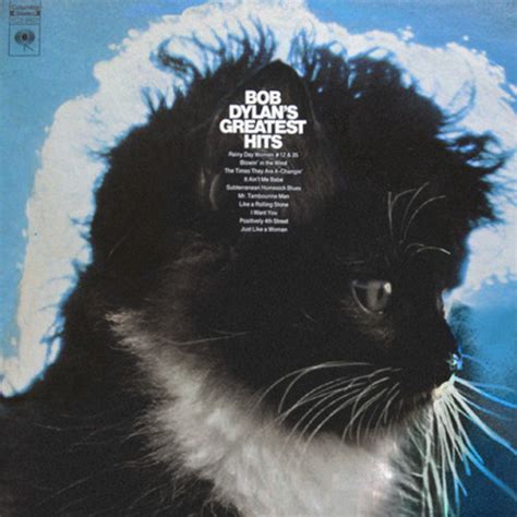 The Kitten Covers: Famous Album Art Reimagined with Cats | Man Made DIY ...