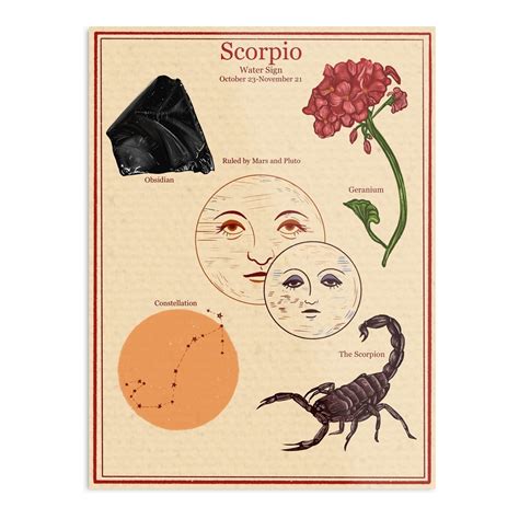 Buy Vintage Style Zodiac Sign Astrology Scorpio s Vintage Room Decor | s For Room Aesthetic 90S ...