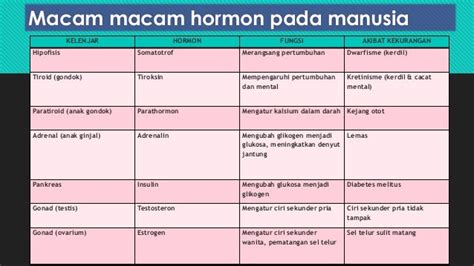 Sistem hormon