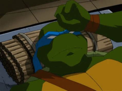 Tmnt Leonardo 2003