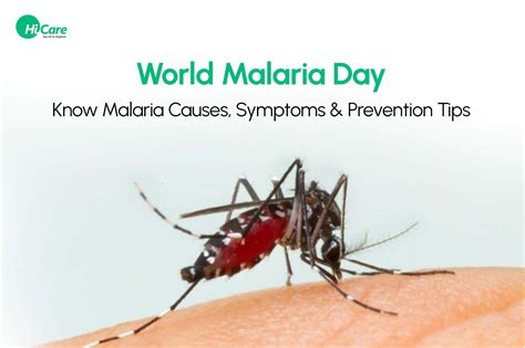 World Malaria Day 2023 - Check Malaria Causes, Symptoms & Prevention Tips