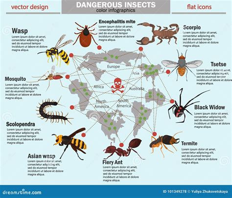 Dangerous Insects And Their Habitat Color Infographics Vector ...