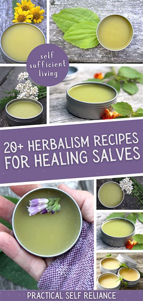 20+ Herbal Salve Recipes | Healing salve recipe, Herbal salve recipes, Salve recipes