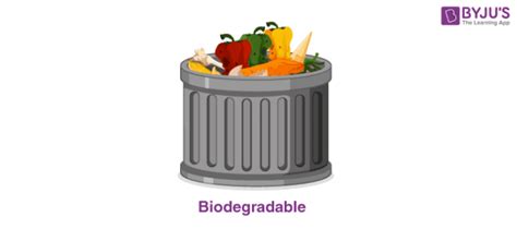 Biodegradable And Non-Biodegradable - Definition & Examples of Biodegradable And Non-Biodegradable