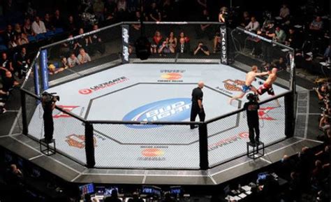 PROLAST | PRO MMA 30' X 30' OCTAGON MMA CAGE | PROLAST.com