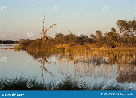 The Diamantina River at Birdsville. Stock Photo - Image of reflection, river: 179680652