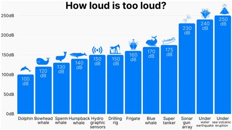 25+ Noise Pollution Statistics 2024: Environment & Oceans