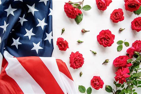 What Is The National Flower Of The USA? - WorldAtlas