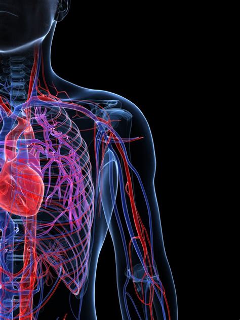 A case study of familial heart disease an exploration of tolle causam ...