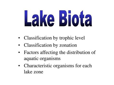 Lake Biota Classification by trophic level Classification by zonation - ppt download