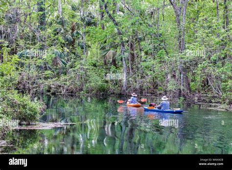 Couple kayaking on Silver River, Silver Springs State Park, Silver ...