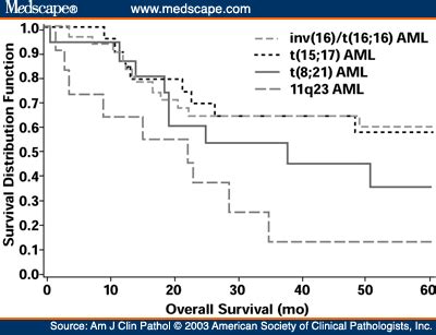 Acute Leukemia: Acute Granulocytic Leukemia Prognosis