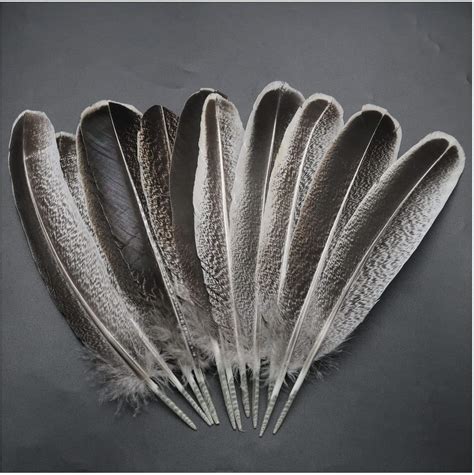 Amazon.com: Turkey Feathers ZZHXSM 12pcs Natural Turkey Feathers Clothing, Hats, Holiday ...