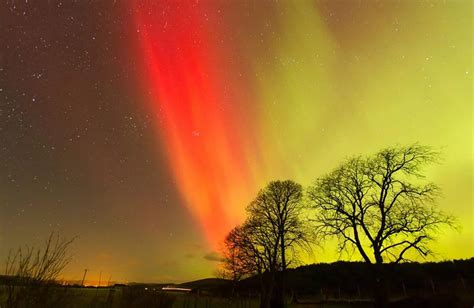 The Aurora Borealis UK - Mirror Online