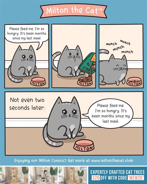 I'm not always hungry, but ... | Cat comics, Funny animals, Cute animals