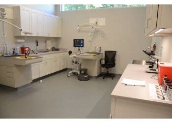 3 Best Veterinary Clinics in Jacksonville, FL - Expert Recommendations