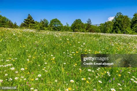 46 Dilijan National Park Stock Photos, High-Res Pictures, and Images - Getty Images