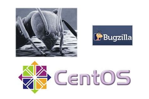 Bugzilla Installation in CentOS – Marco Tello