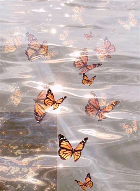 Tổng hợp 789 Background aesthetic butterfly Chất lượng độc đáo, tải miễn phí