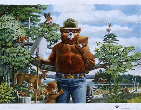 Smokey The Bear Free Stock Photo - Public Domain Pictures