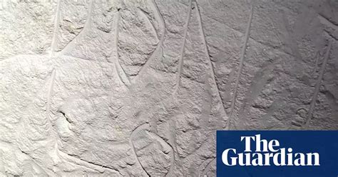 Ancient Aboriginal rock art destroyed by vandals in ‘tragic loss’ at ...