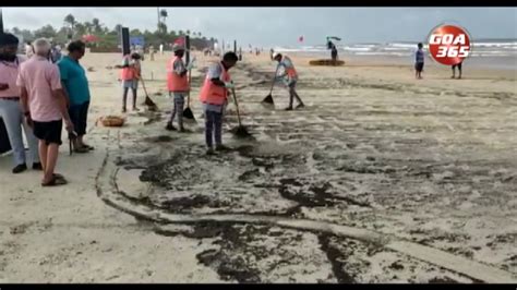 TAR BALLS TAINT CLEAN UP DRIVE AT COLVA BEACH