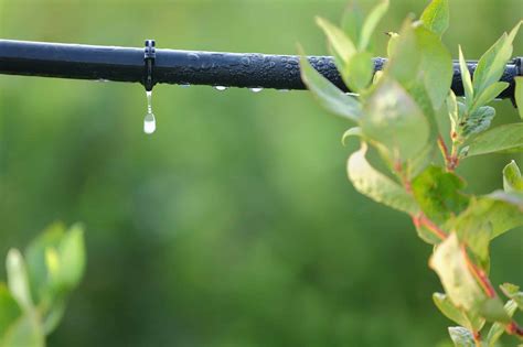 Benefits Of An Automated Drip Irrigation System