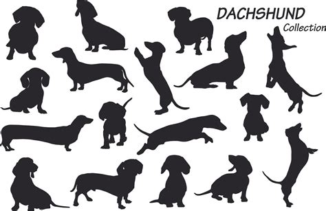 dachshund dog silhouettes 11816431 Vector Art at Vecteezy