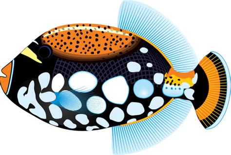 Free Tropical Fish Cliparts, Download Free Tropical Fish Cliparts png ...